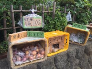 2016.8.11路上野菜販売1